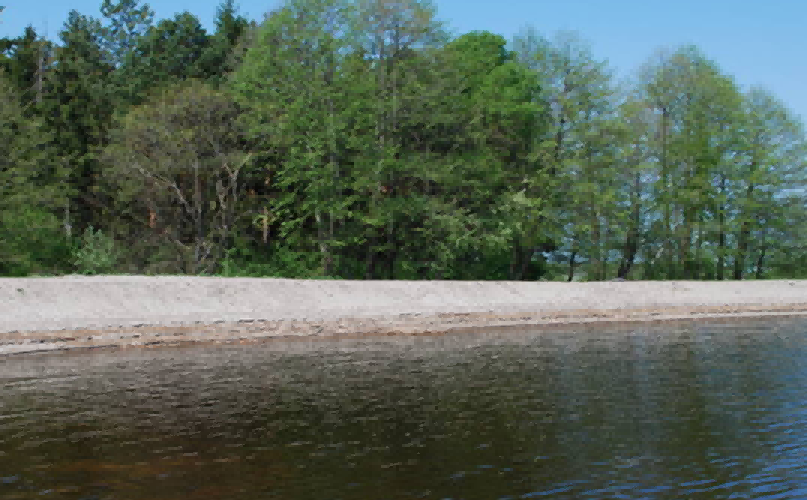 水环境治理--水产养殖尾水治理